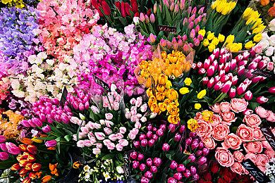 Xbox老大：《上古卷轴6》不会在《神鬼寓言》之前上市