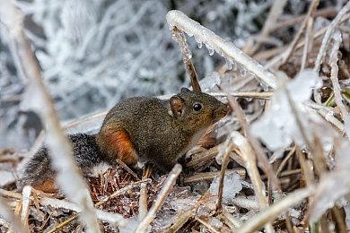 《战地6》单人战役将革新叙事 以小人物视角书写史诗